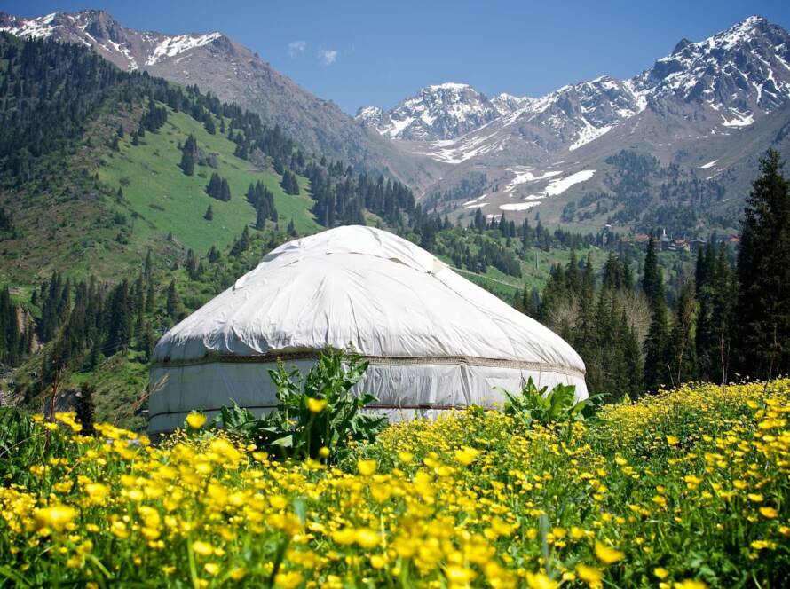 A Kazakh national yurt standing in a field of blooming buttercups