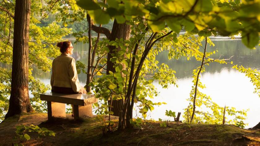 Woman sitting on a bench looking at a lake with trees surrounding her. 