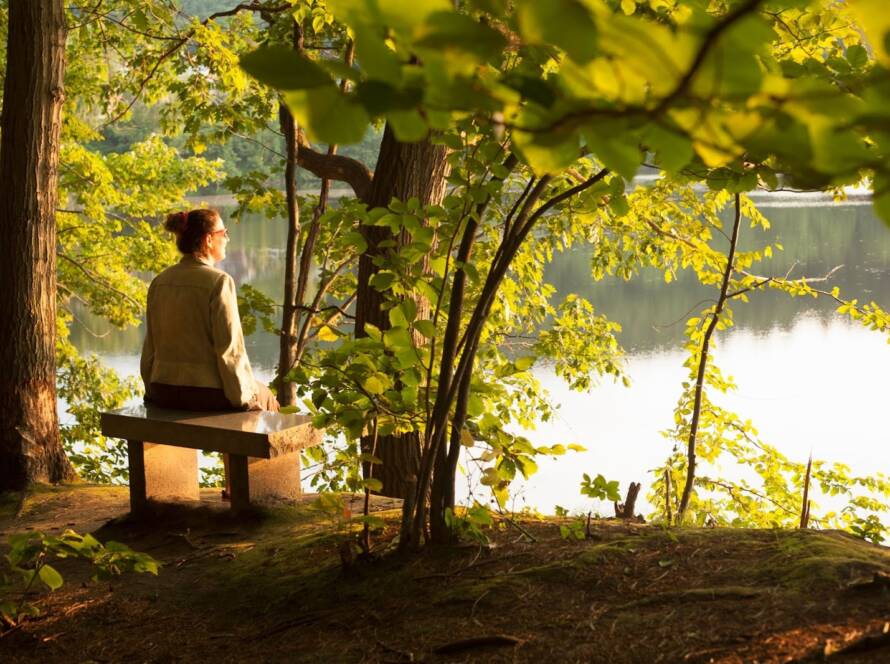 Woman sitting on a bench looking at a lake with trees surrounding her. 