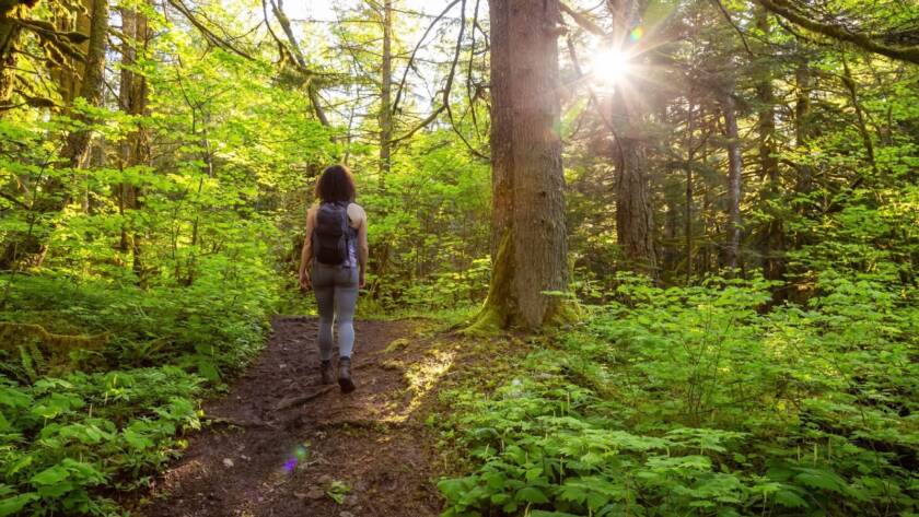 A girl enjoying a peaceful nature walk through a lush, green rainforest