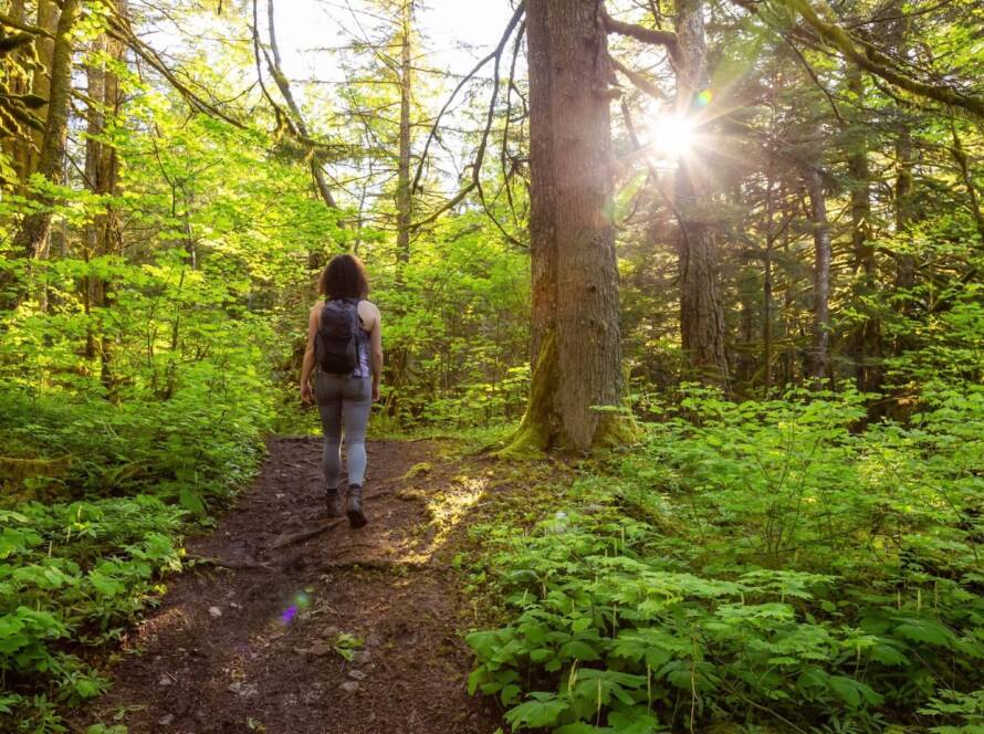 A girl enjoying a peaceful nature walk through a lush, green rainforest