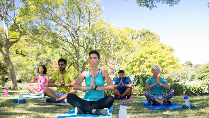 Participants performing a guided yoga session outdoors in a natural environment