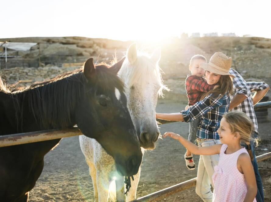 Family having fun with a gentle horse at a countryside ranch